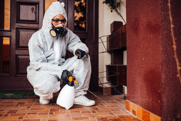 Reliable Bed Bug Control contractor in Pearland, TX by Nex Pest Control